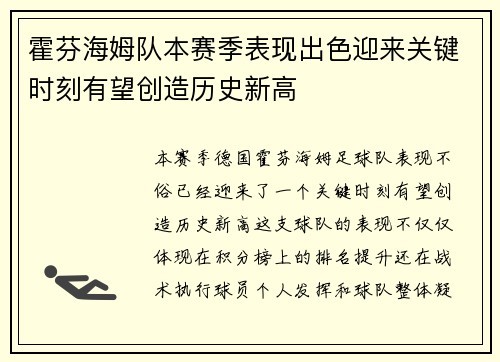 霍芬海姆队本赛季表现出色迎来关键时刻有望创造历史新高