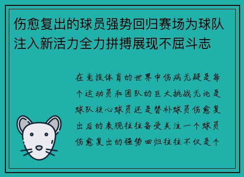 伤愈复出的球员强势回归赛场为球队注入新活力全力拼搏展现不屈斗志