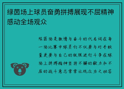 绿茵场上球员奋勇拼搏展现不屈精神感动全场观众