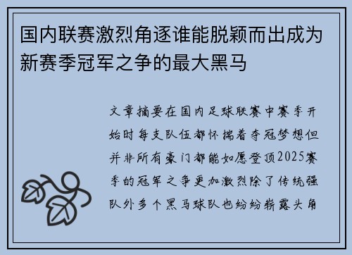国内联赛激烈角逐谁能脱颖而出成为新赛季冠军之争的最大黑马